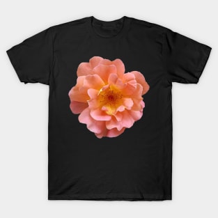 Pretty Garden Rose T-Shirt